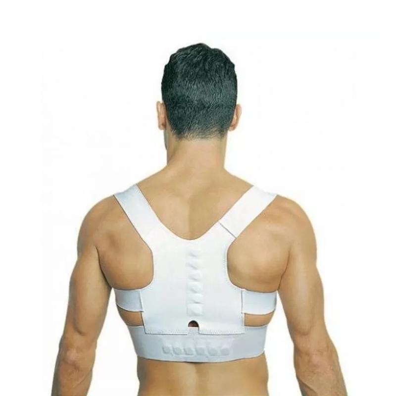 Posture Belt Price