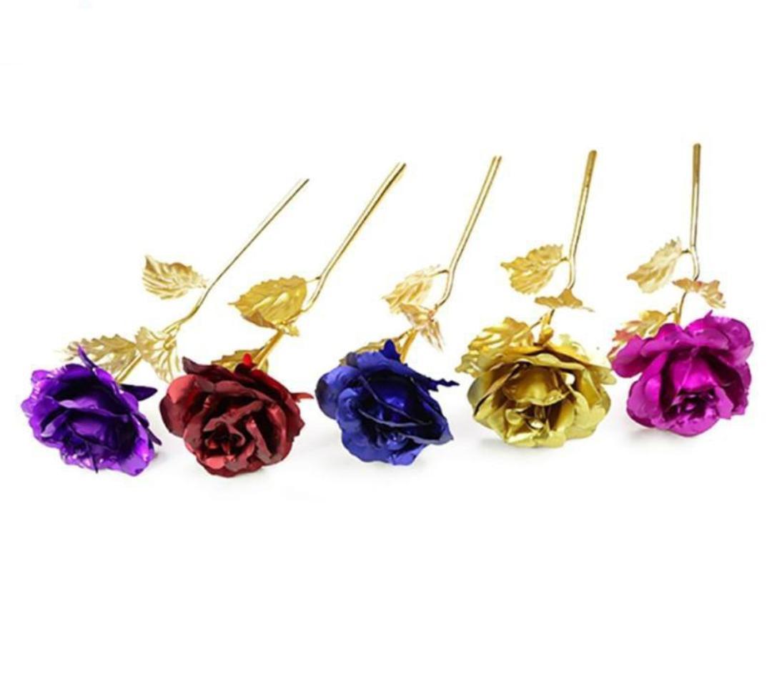 MULTI COLOR ROSE - IN 5 COLOR