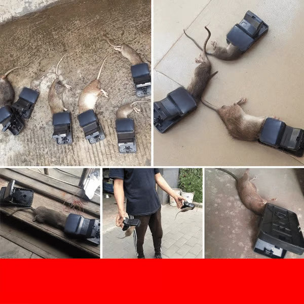 Zovra™ Reusable Mousetrap With High Sensitive Trigger Regular