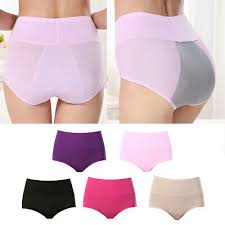 Leak Proof Period Panties - Free Size