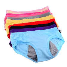 Leak Proof Period Panties - Free Size