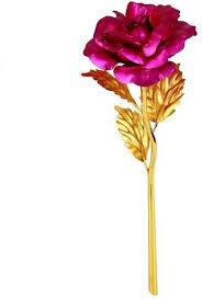 MULTI COLOR ROSE - IN 5 COLOR