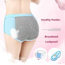 Leak Proof Period Panties - Free Size