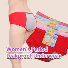 Leak Proof Period Panties - Free Size