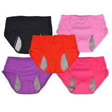 Leak Proof Period Panties - Free Size