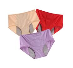 Leak Proof Period Panties - Free Size