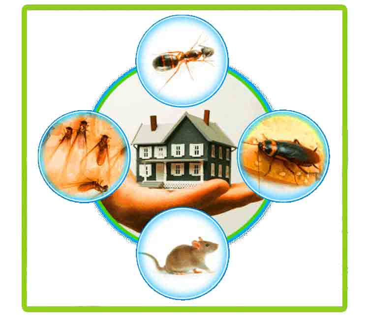 ELECTRIC INSECT & PEST REJECT