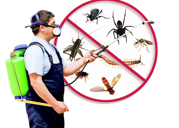 ELECTRIC INSECT & PEST REJECT