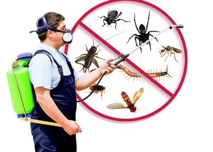 ELECTRIC INSECT & PEST REJECT